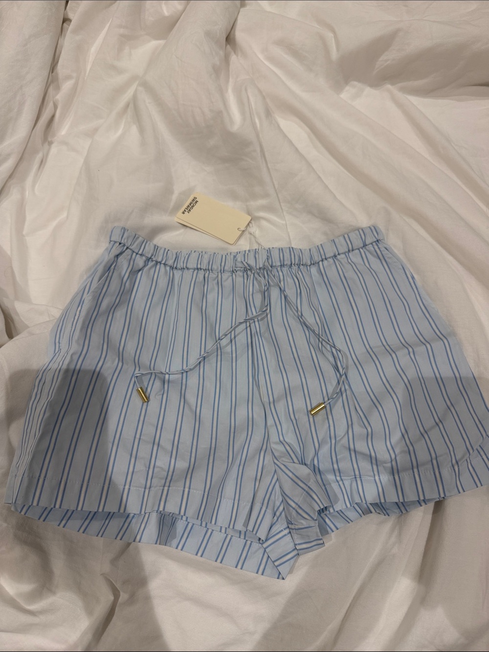 Monday Swimwear Light Blue & Navy Striped Athletic Shorts